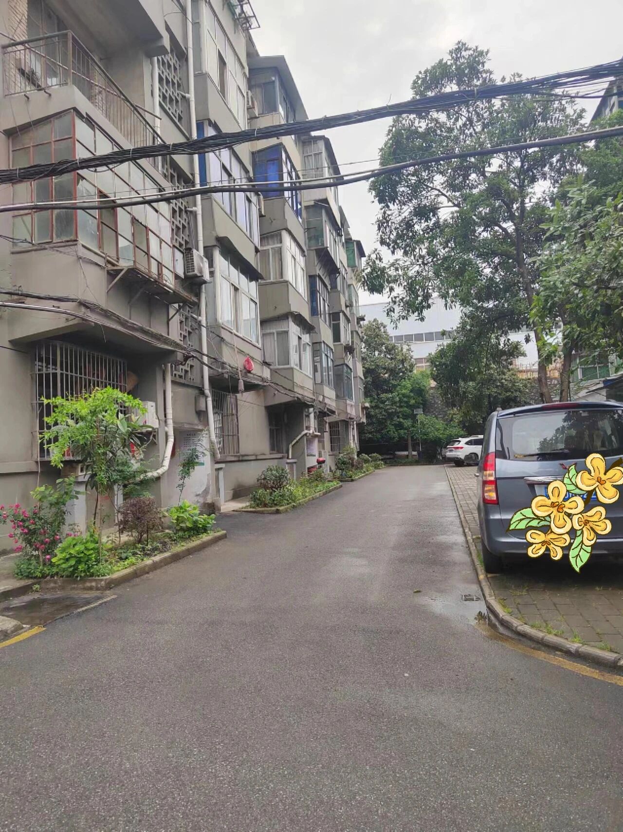 电梯老房子__老小区电梯入户