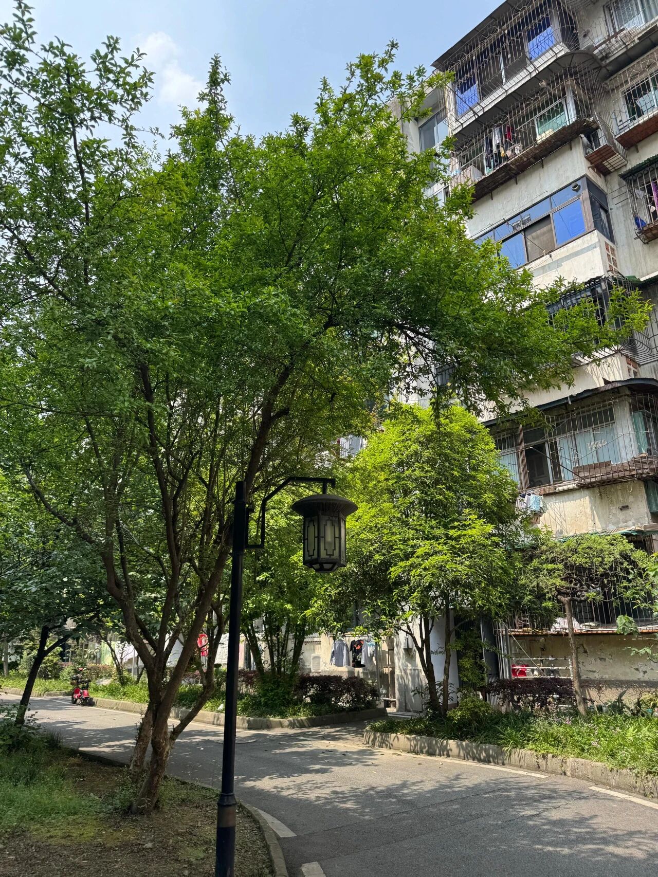 老小区电梯入户_电梯老房子_