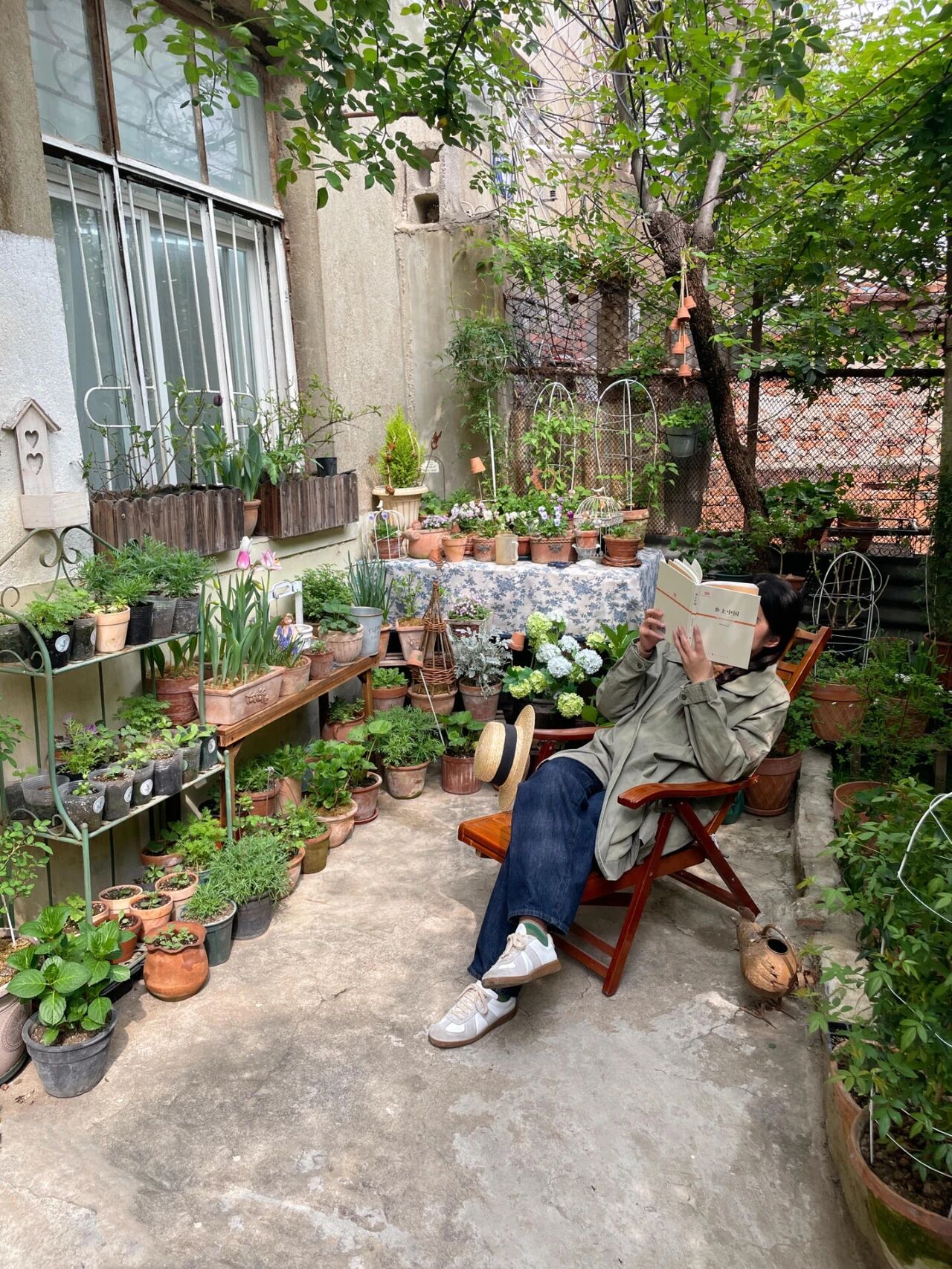 _老小区电梯入户_电梯老房子