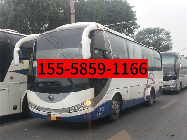 苍南到天长客车大巴:贴心服务暖人心-有驾