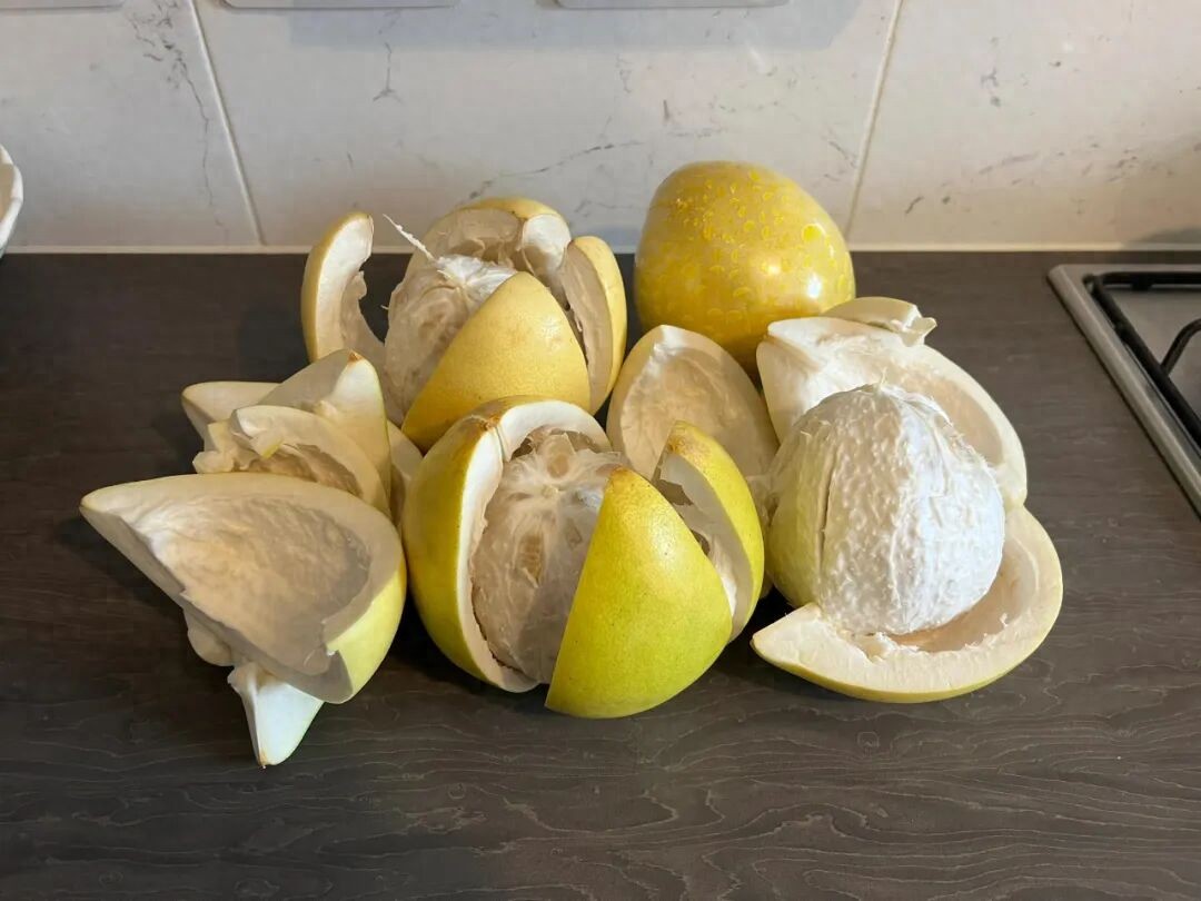 _“柚子”吃完只能把皮扔掉？看完网友的脑洞后，我又悄悄捡回来了_“柚子”吃完只能把皮扔掉？看完网友的脑洞后，我又悄悄捡回来了