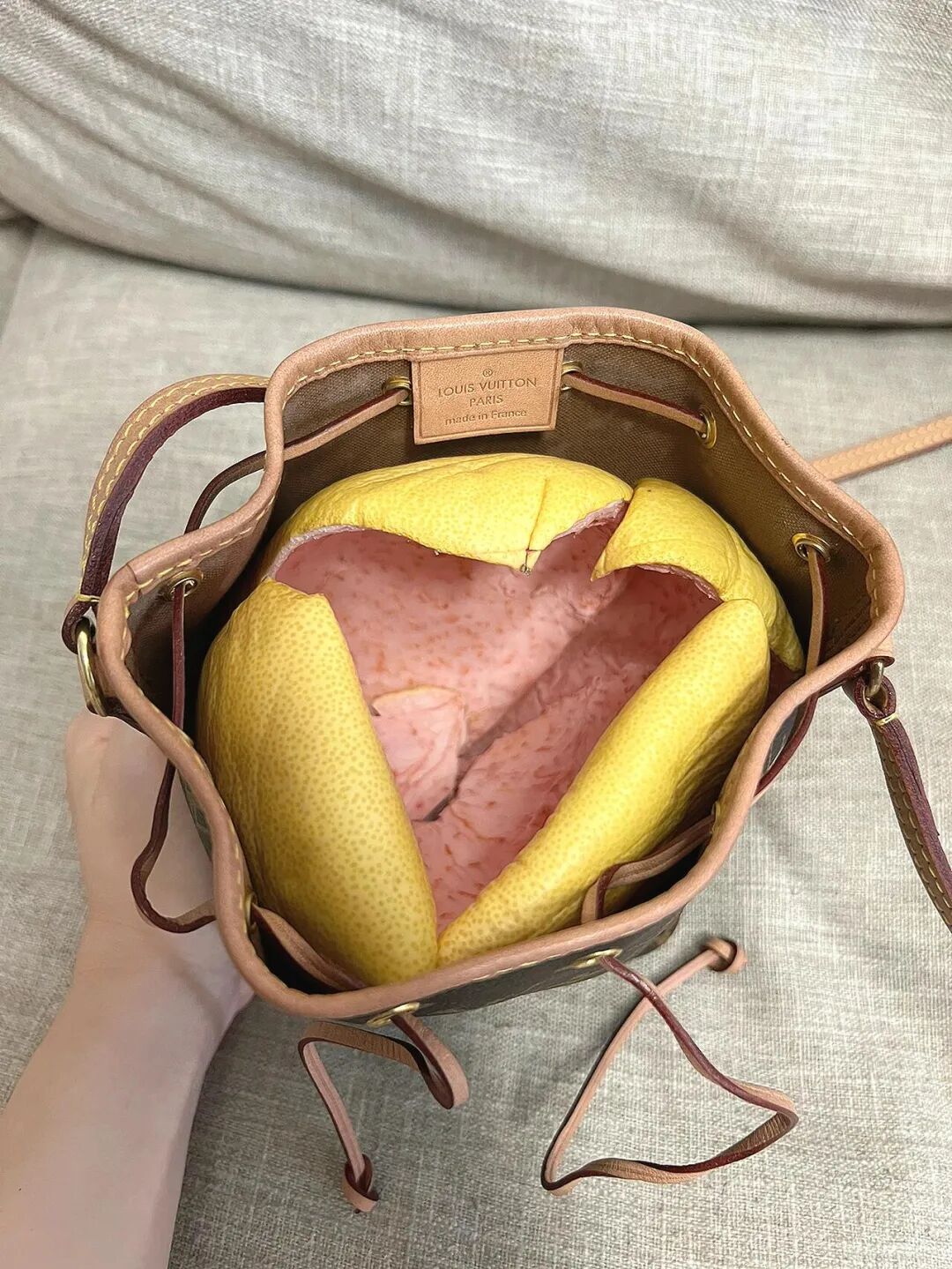 “柚子”吃完只能把皮扔掉？看完网友的脑洞后，我又悄悄捡回来了_“柚子”吃完只能把皮扔掉？看完网友的脑洞后，我又悄悄捡回来了_