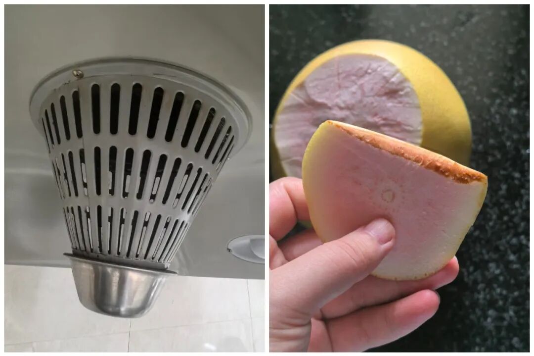 “柚子”吃完只能把皮扔掉？看完网友的脑洞后，我又悄悄捡回来了_“柚子”吃完只能把皮扔掉？看完网友的脑洞后，我又悄悄捡回来了_