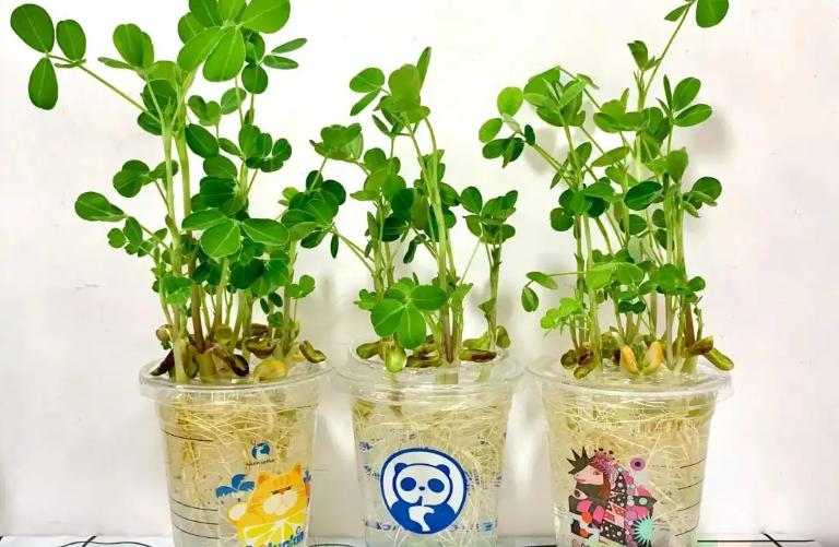 _闲置物品收纳_人的脑子什么时候好使