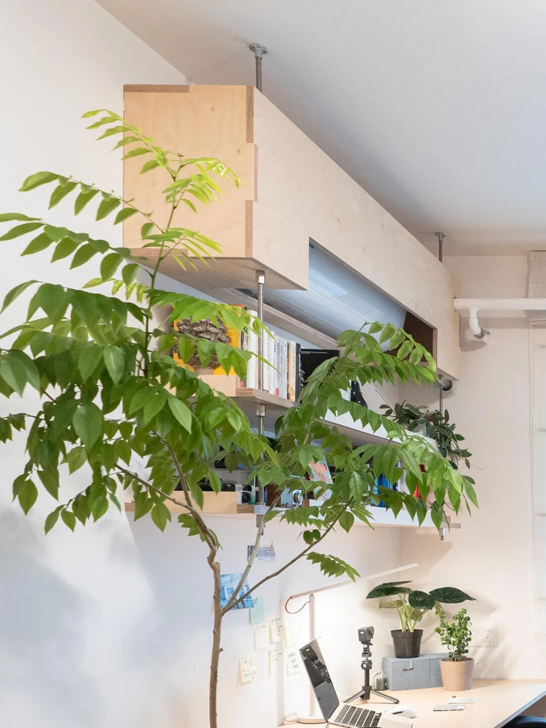 空调管子太丑怎么办？看了网友家的做法后，发现全是绝妙点子__空调管子太丑怎么办？看了网友家的做法后，发现全是绝妙点子