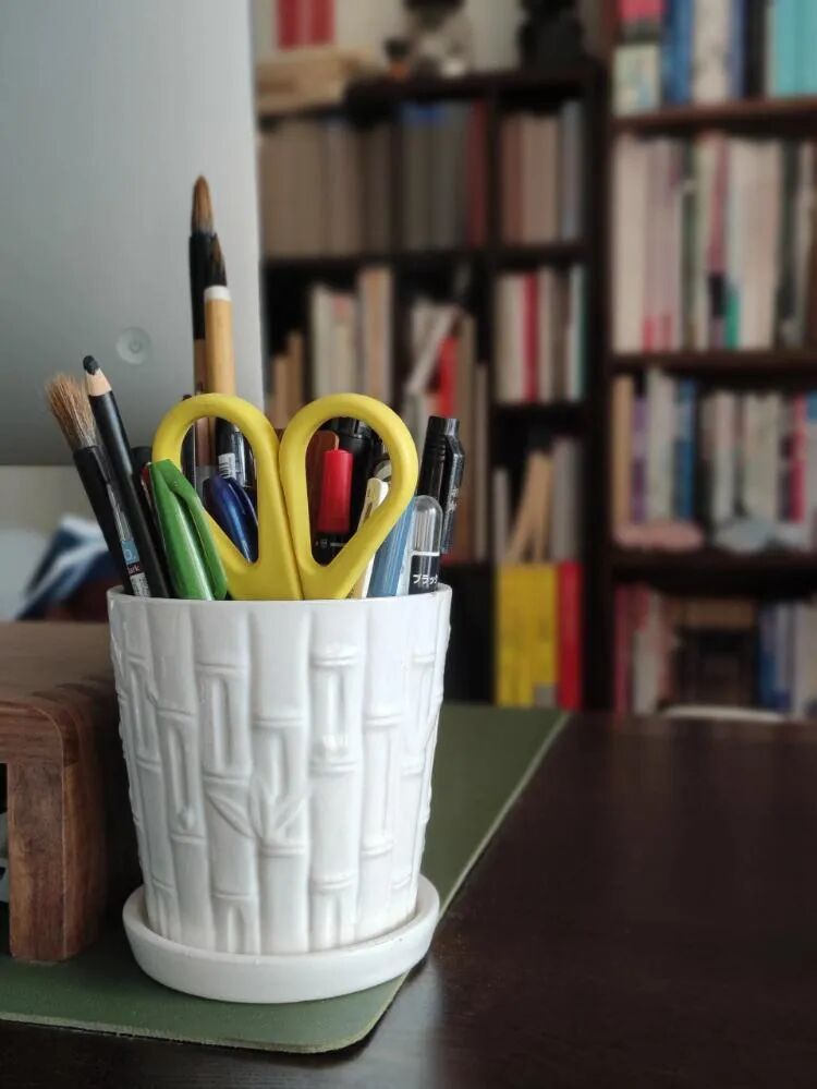 闲置花盆妙用_闲置物品做花盆_