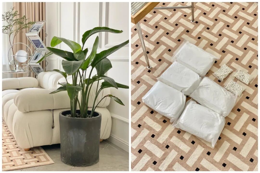 _闲置物品做花盆_闲置花盆妙用