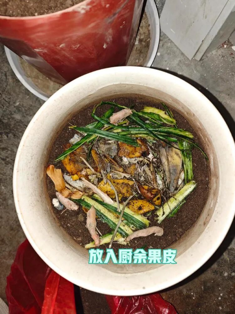 闲置物品做花盆__闲置花盆妙用