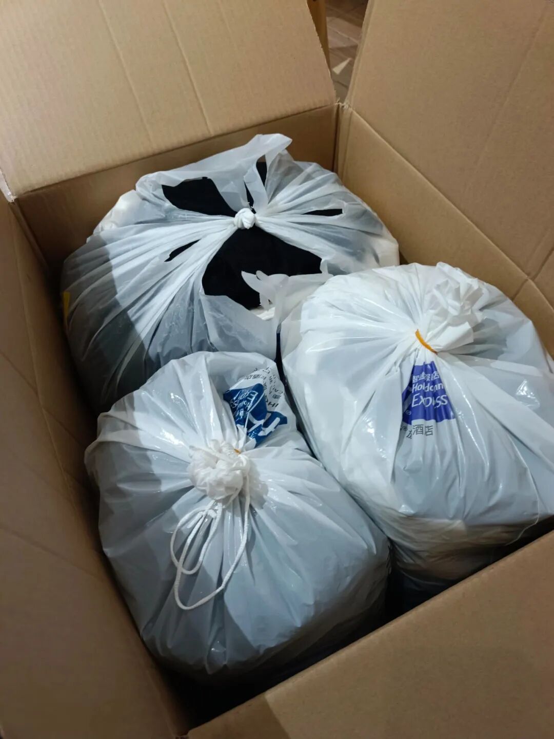 _浪费脑力_人疯了脑子什么感觉