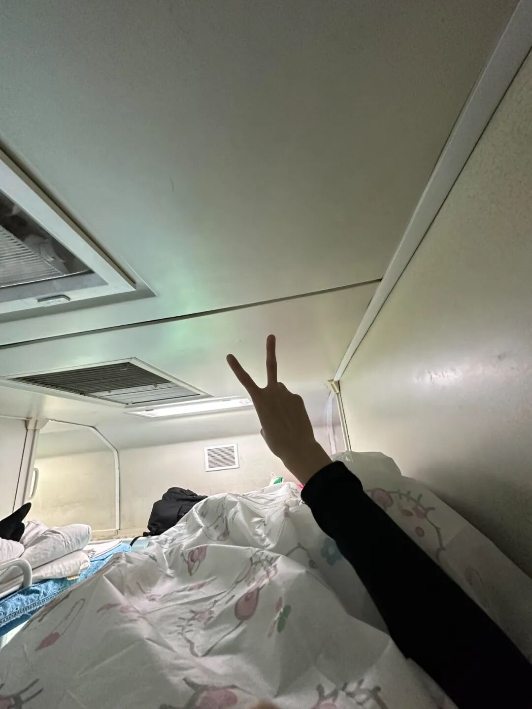 浪费脑力_人疯了脑子什么感觉_