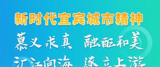 宜宾考察重庆动力电池，探访赛力斯长安工厂，挖掘合作新机遇-有驾