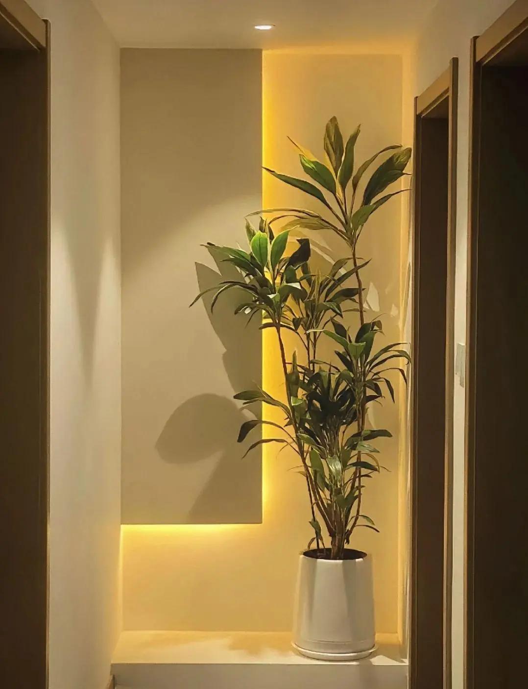 _室内走廊式格局浪费面积_走廊空间利用