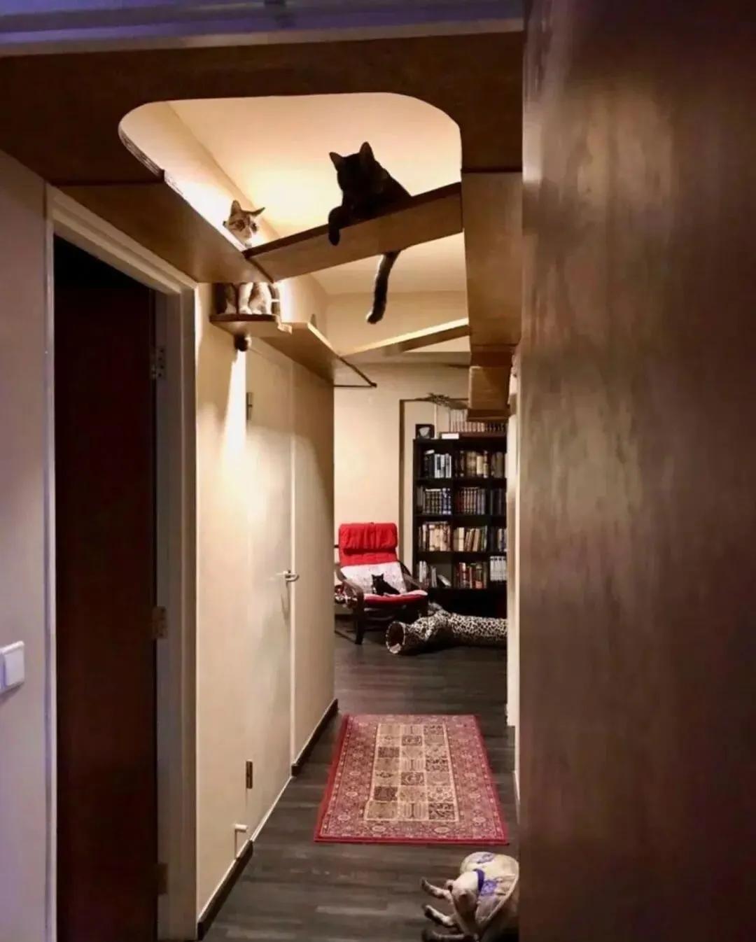 走廊空间利用__室内走廊式格局浪费面积