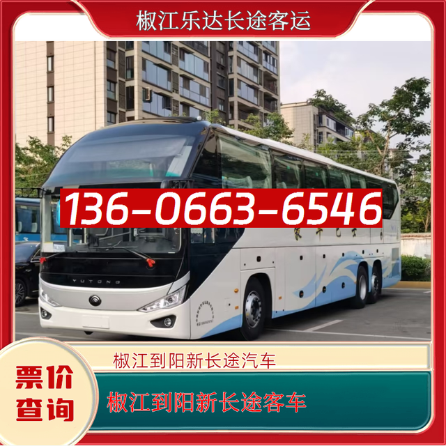 椒江到阳新客车汽车-椒江到阳新客车汽车-宠物托运-有驾