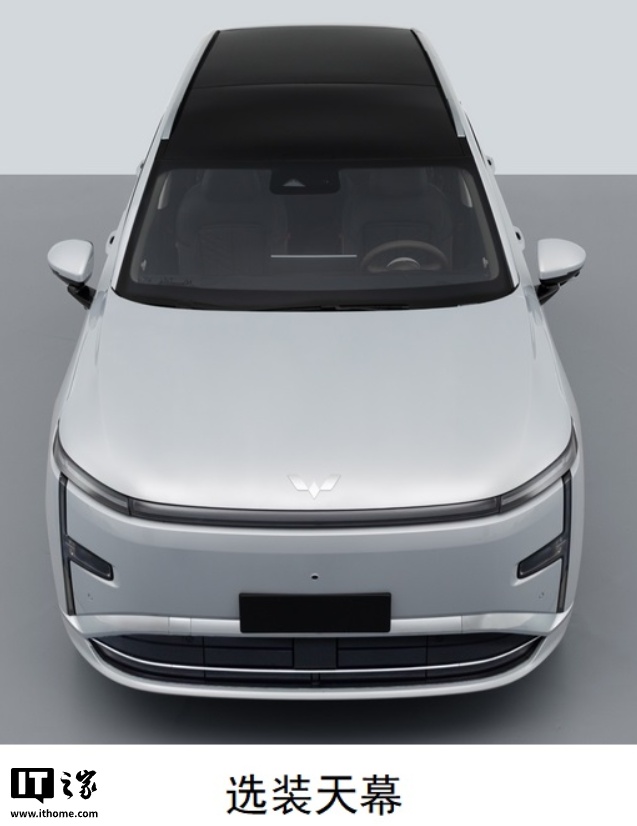 五菱星光L插混SUV入网申报：贯穿式车灯，可选5座6座__五菱星光L插混SUV入网申报：贯穿式车灯，可选5座6座