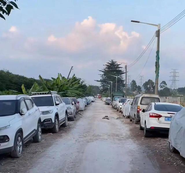 “一年两箱油”车主将出行，车常闲置是何缘故？-有驾