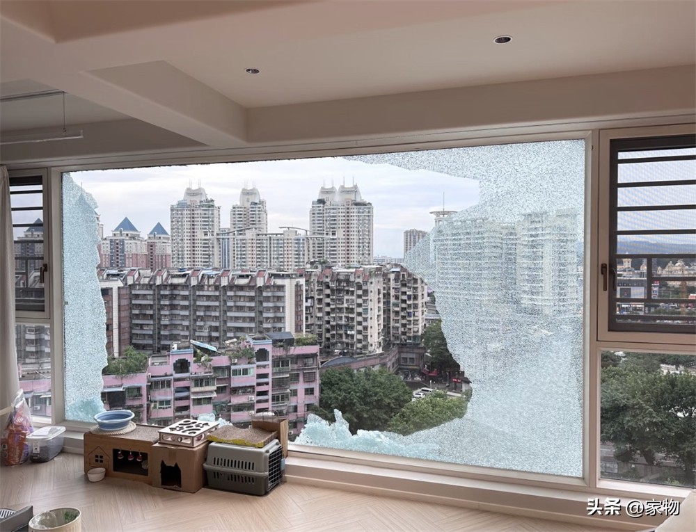 _落地窗网红照_股圈链敢用吗