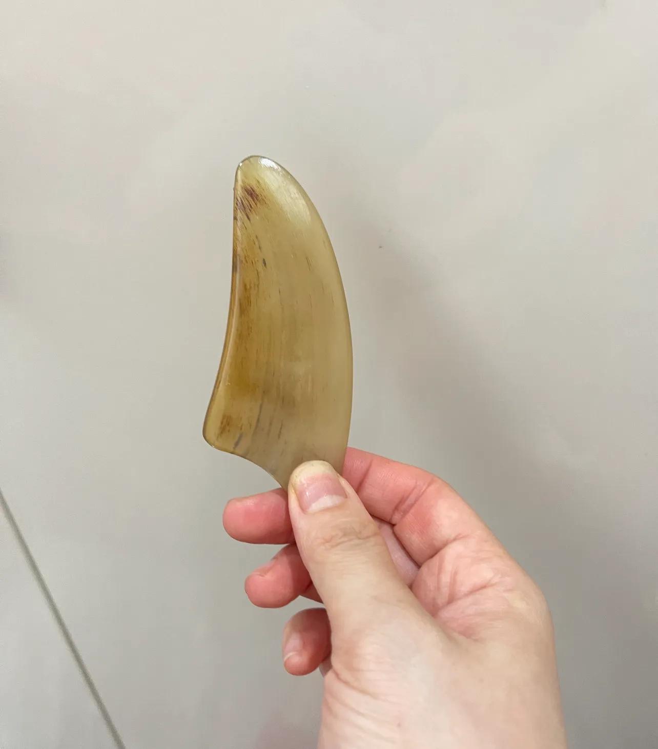 中医养生西医治病__西医有养生吗