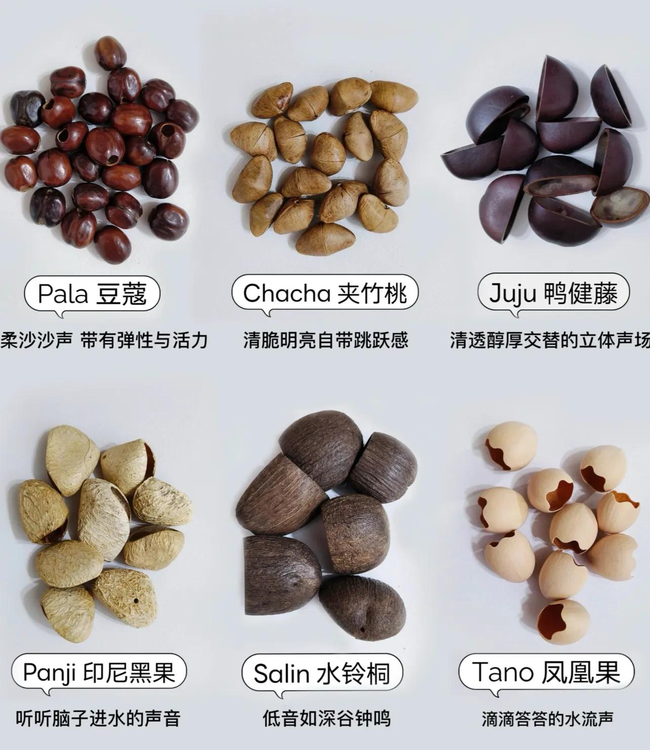 _中医养生西医治病_西医有养生吗