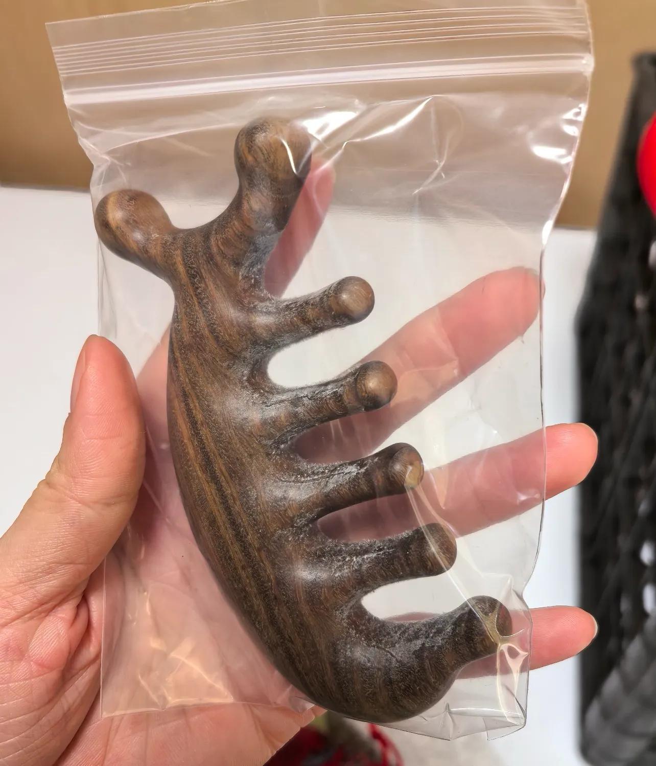 _中医养生西医治病_西医有养生吗