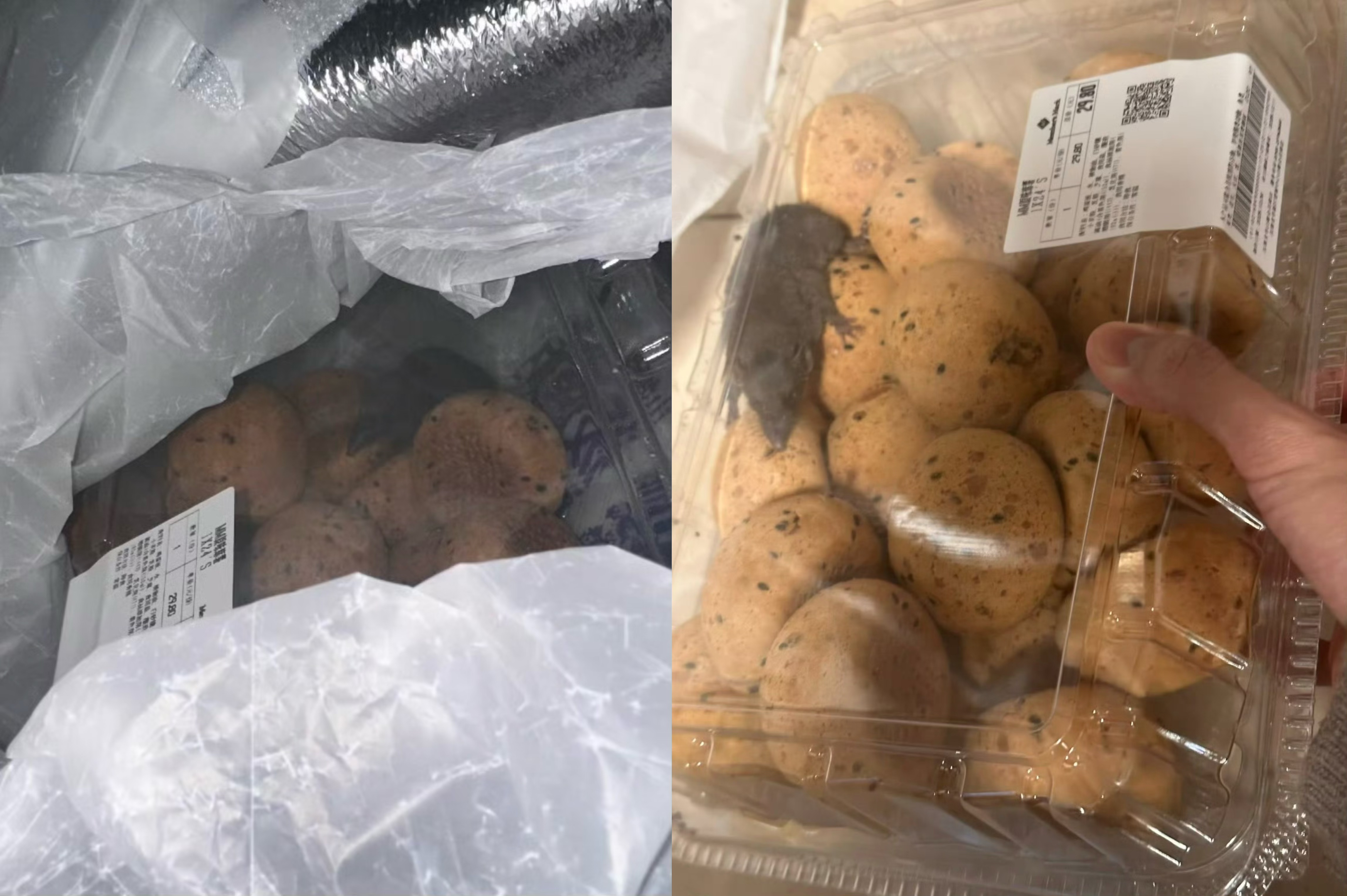 老鼠盒子_老鼠箱子怎么用的视频_