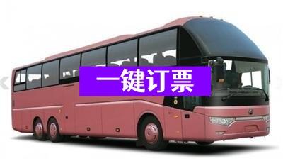 余姚到昭通客车汽车15558591166长途客车车行顺利-有驾
